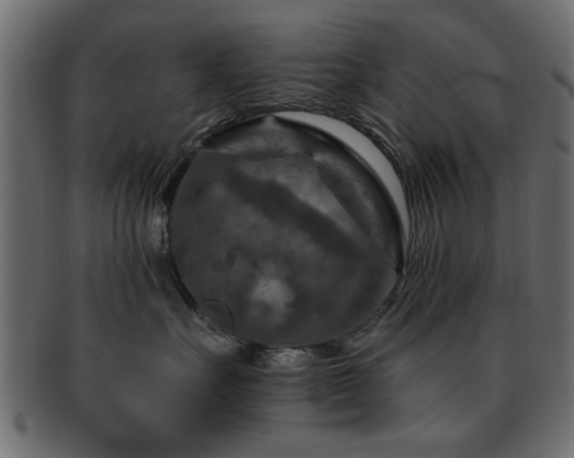 X0000093170527200709261531