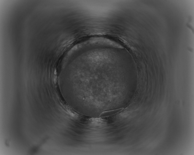 X0000093170528200709261531