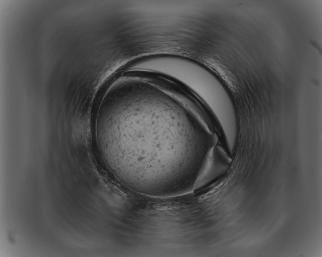 X0000093170532200709261530