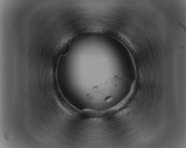 X0000093170538200709261530