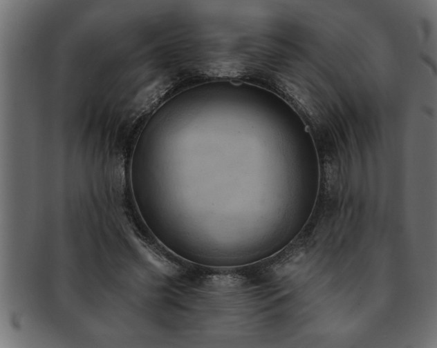 X0000093170541200709261530