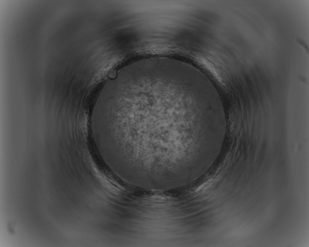 X0000093170542200709261530