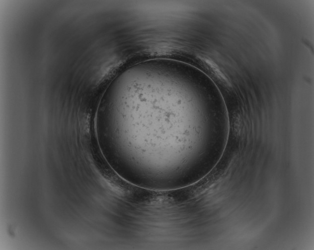 X0000093170543200709261530