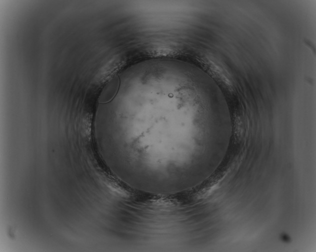 X0000093170545200709261530