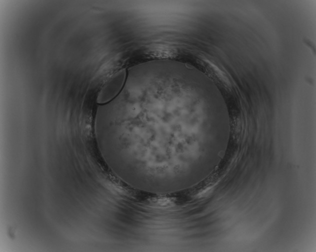 X0000093170553200709261530
