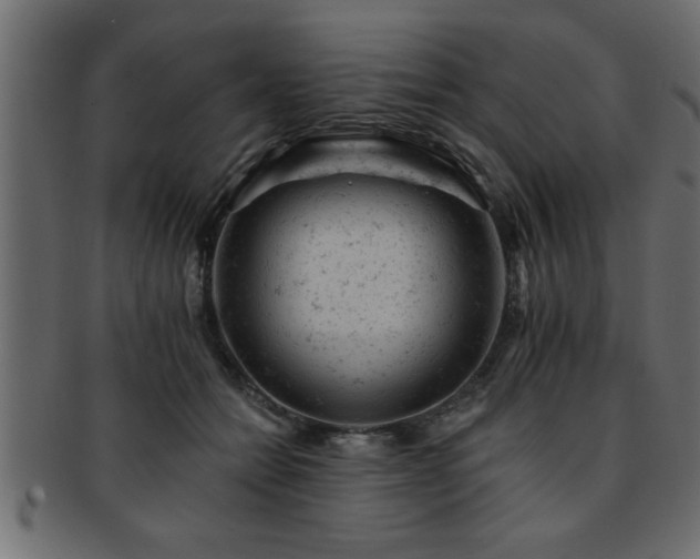 X0000093170558200709261530