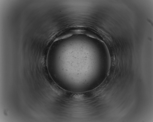 X0000093170560200709261530