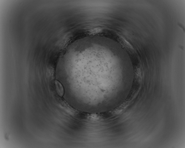 X0000093170565200709261530