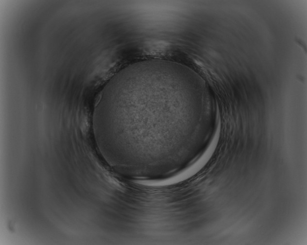 X0000093170566200709261530