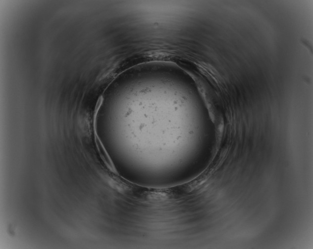 X0000093170572200709261531
