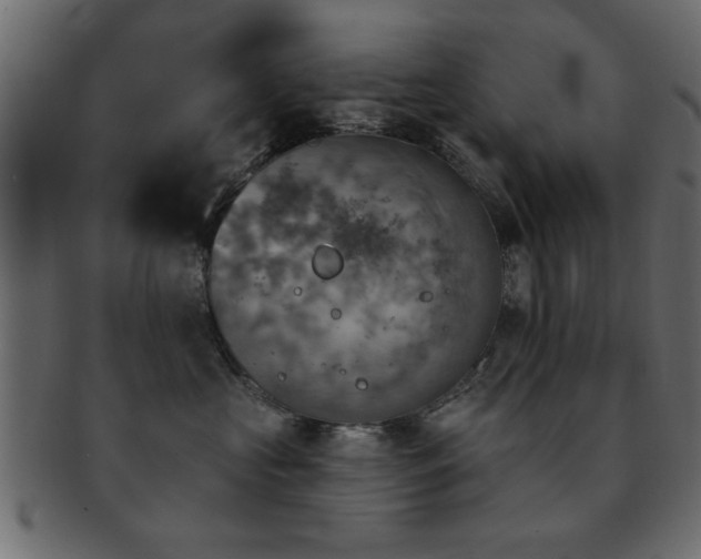 X0000093170573200709261531