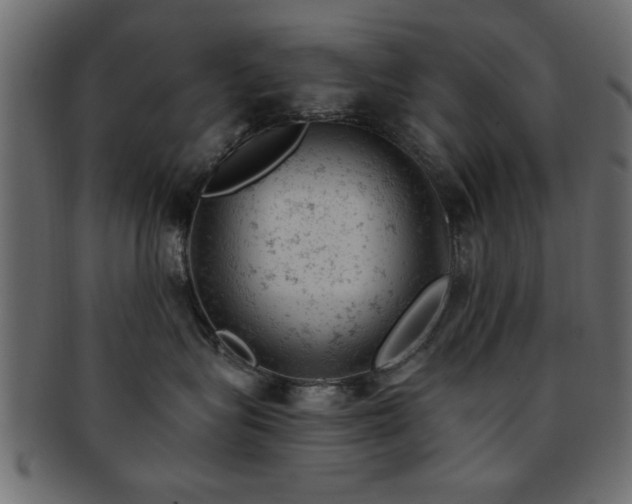 X0000093170575200709261531