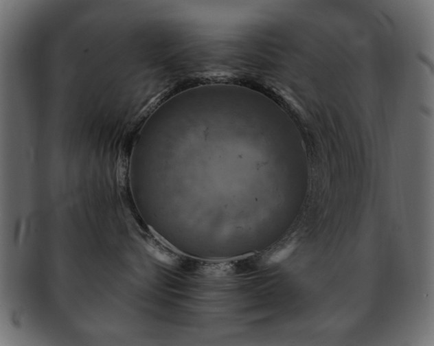 X0000093170576200709261531