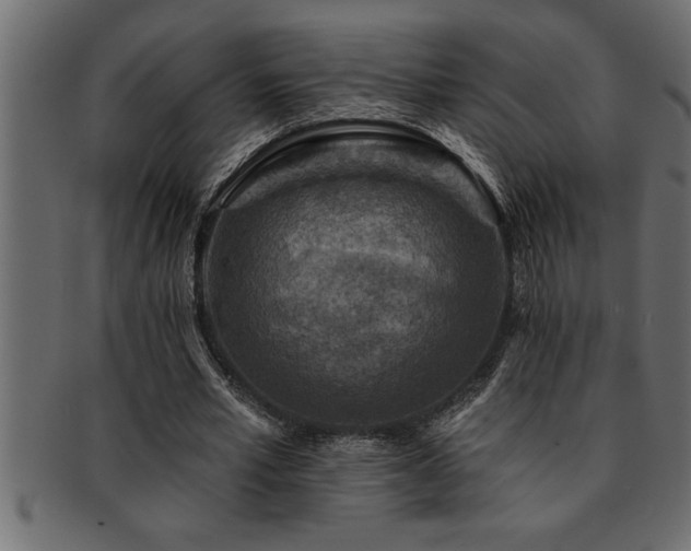 X0000093170581200709261530