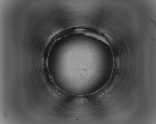 X0000093170587200709261530