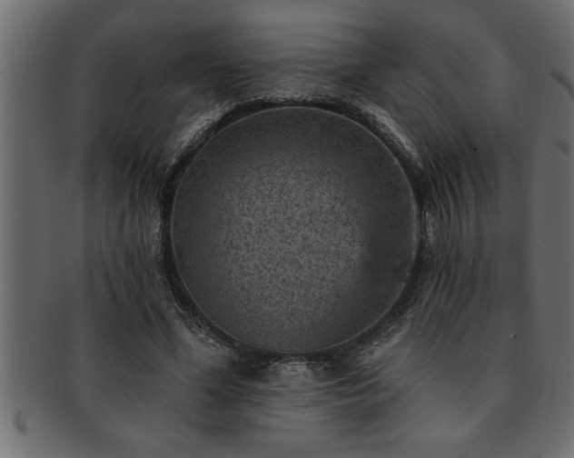 X0000093170588200709261530