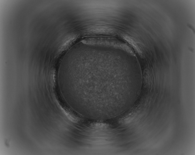 X0000093170590200709261529