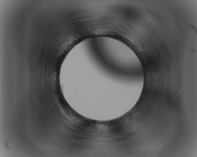X0000093170592200709261529