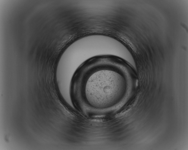 X0000093170593200709261529