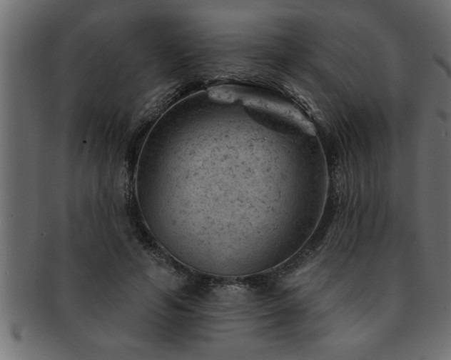 X0000093170594200709261529