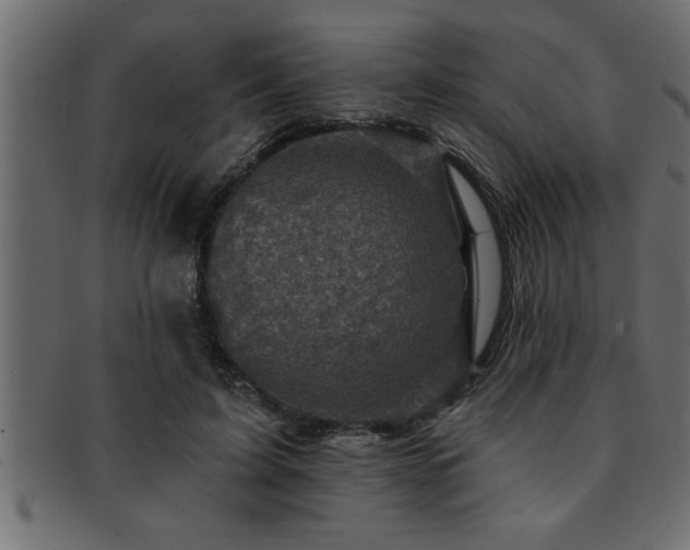 X0000093170595200709261529
