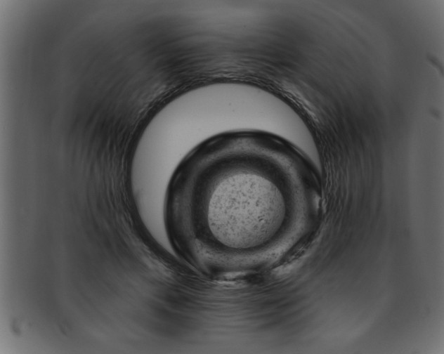 X0000093170597200709261529