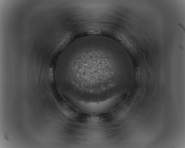 X0000093170598200709261529