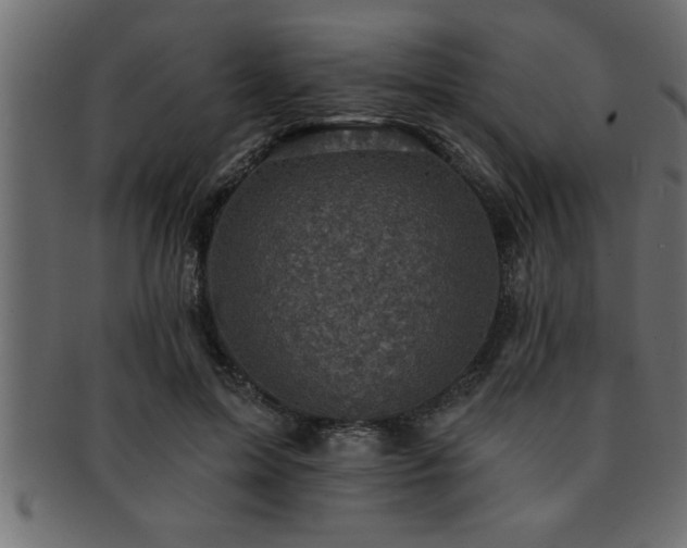 X0000093170599200709261529