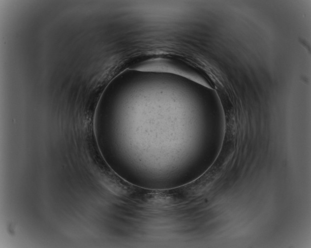 X0000093170601200709261529