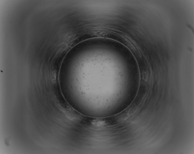 X0000093170602200709261529