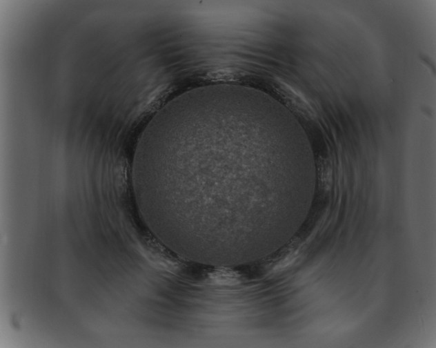 X0000093170603200709261529