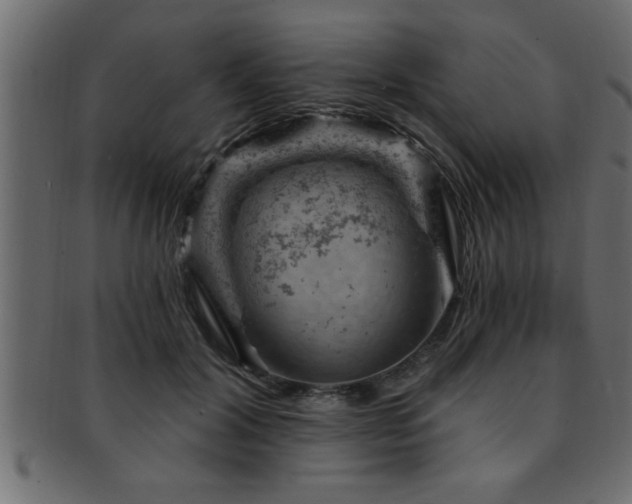 X0000093170604200709261529