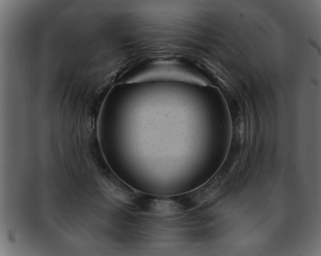 X0000093170605200709261529