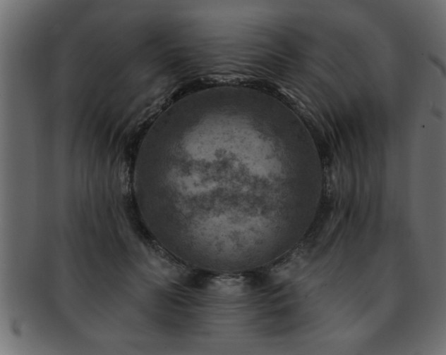 X0000093170606200709261529
