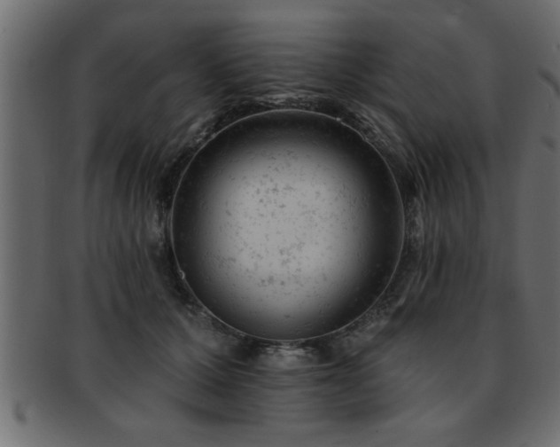 X0000093170607200709261529