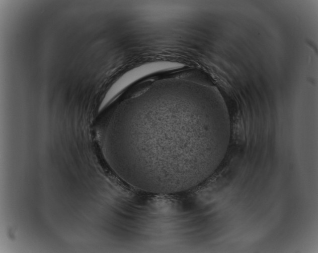 X0000093170608200709261529