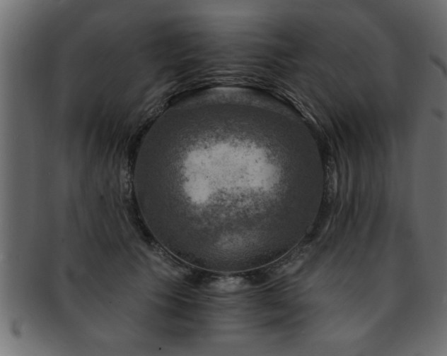 X0000093170609200709261529
