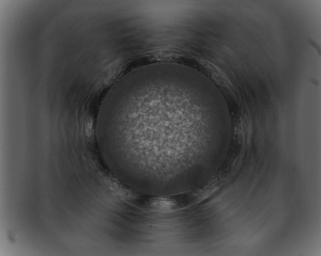 X0000093170610200709261529