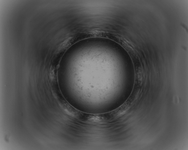 X0000093170611200709261529