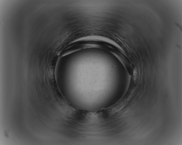 X0000093170613200709261529