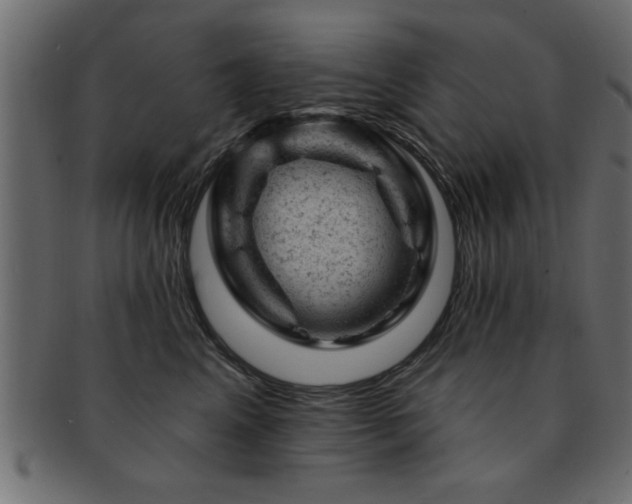 X0000093170617200709261529