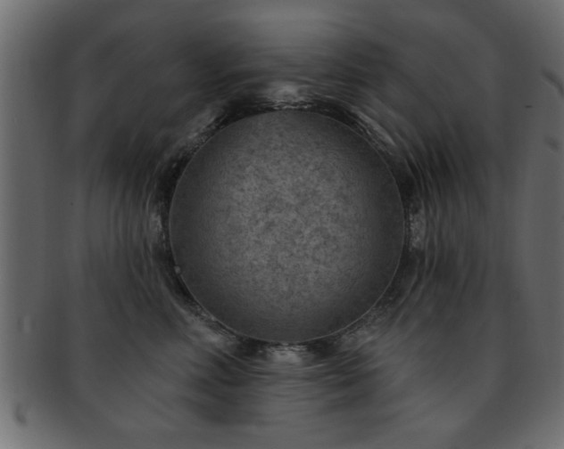 X0000093170618200709261529