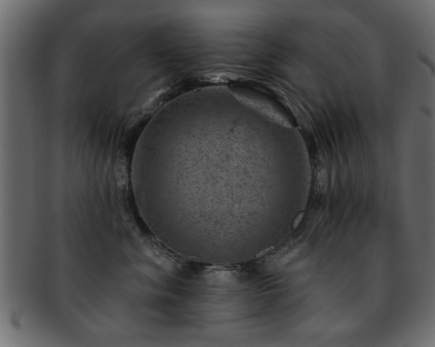 X0000093170620200709261529