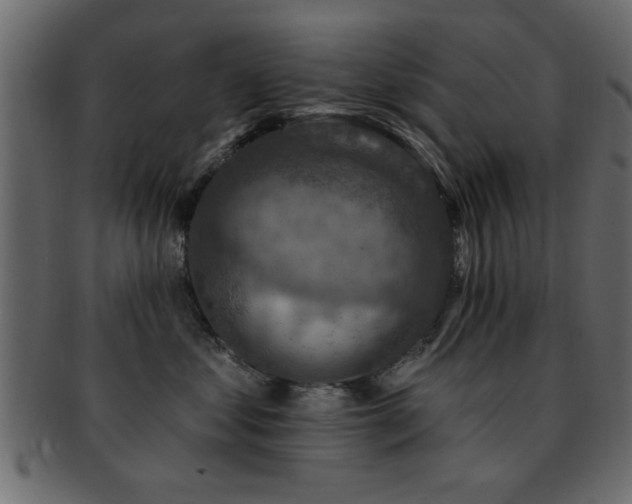 X0000093170621200709261529