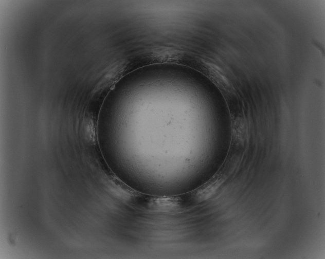 X0000093170622200709261529