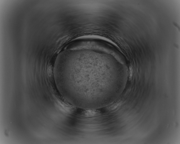 X0000093170623200709261529