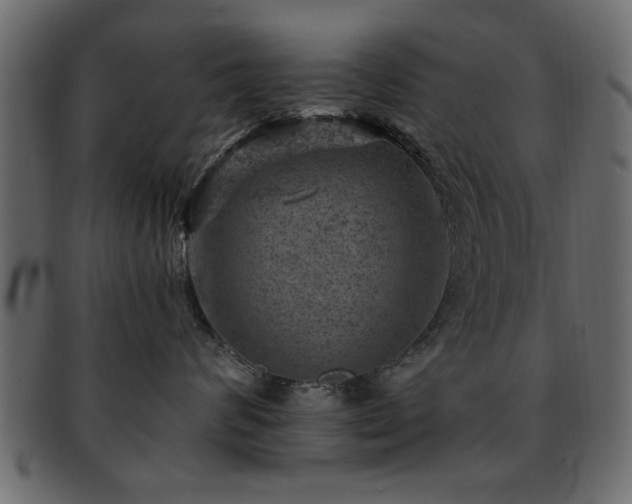 X0000093170624200709261529