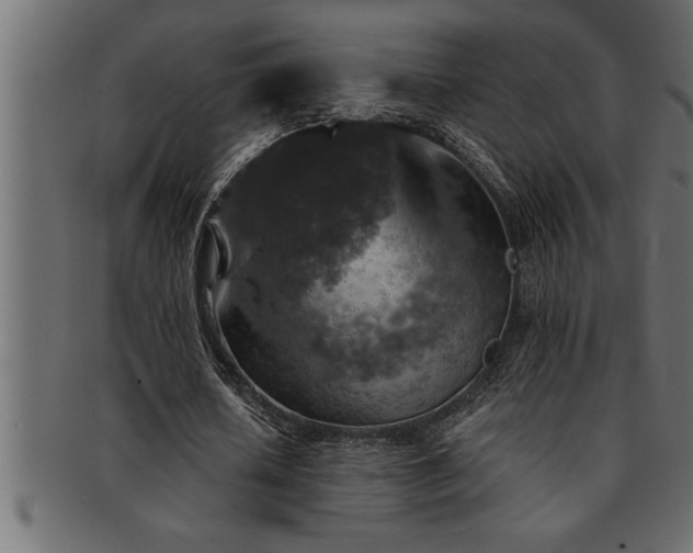 X0000093170626200709261529
