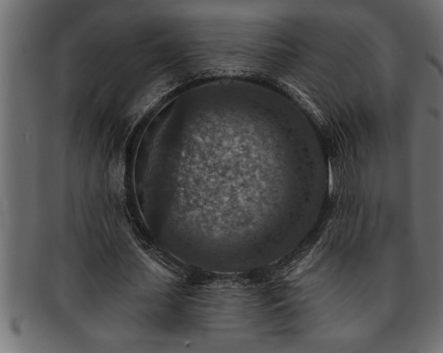 X0000093170627200709261529