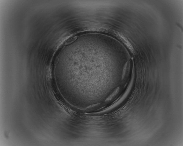 X0000093170628200709261529